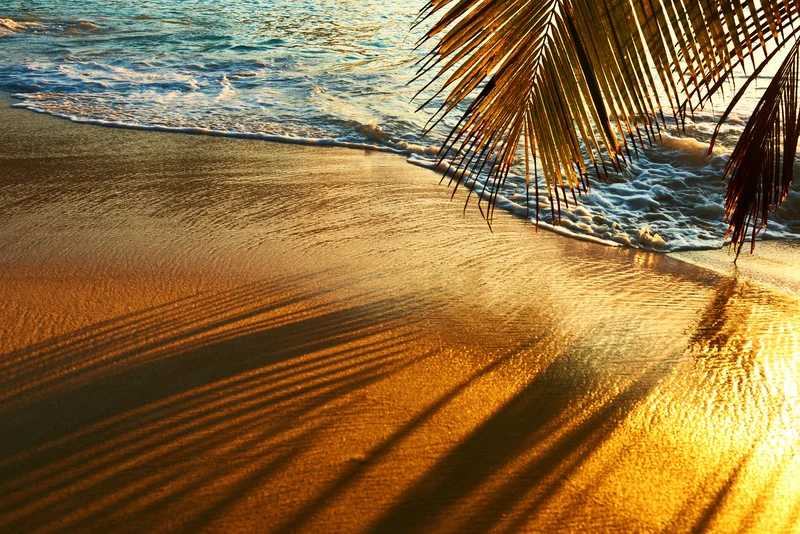 Beautiful sunset at Seychelles beach with palm tree shadow over sand