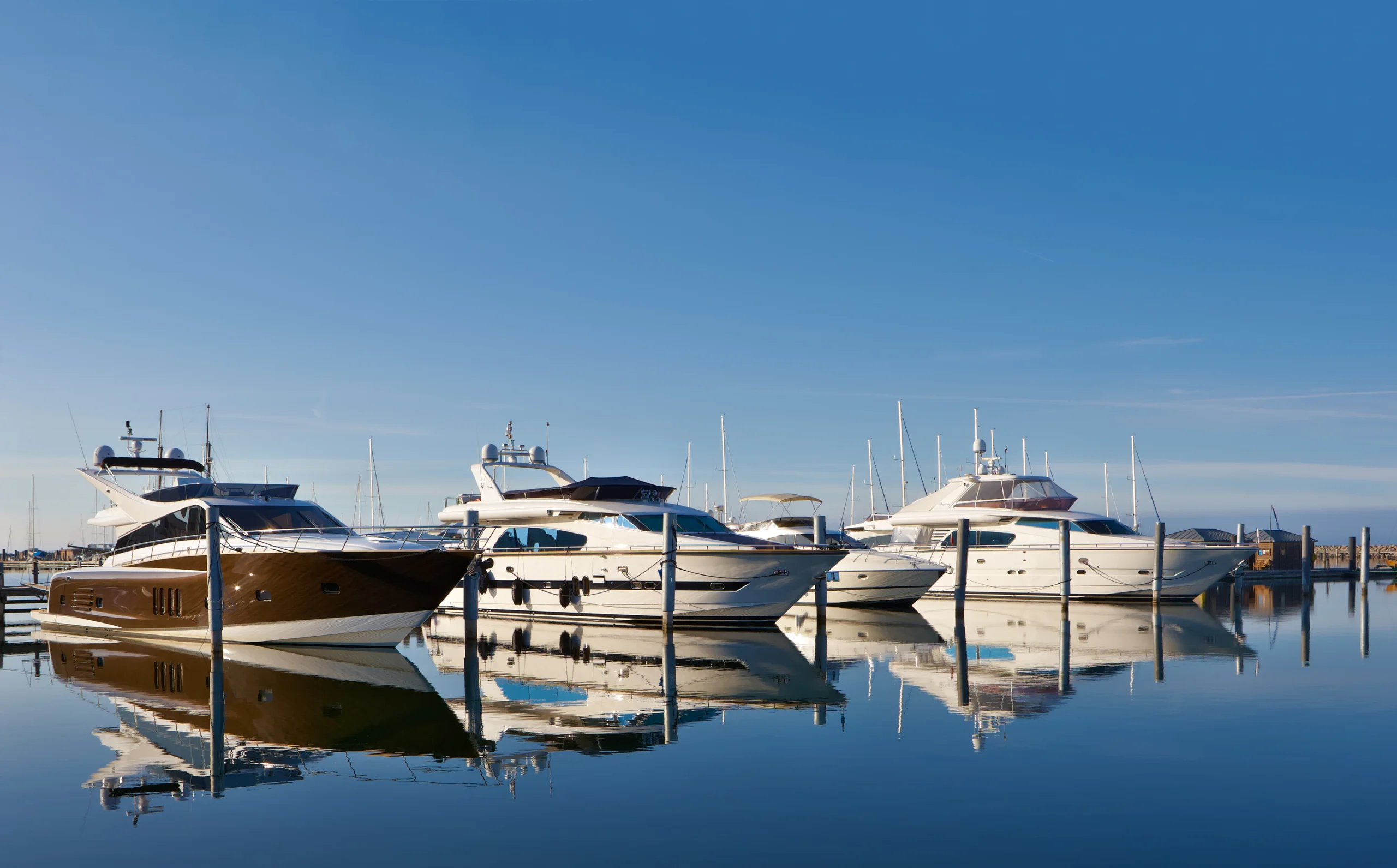 Motor yachts in marina