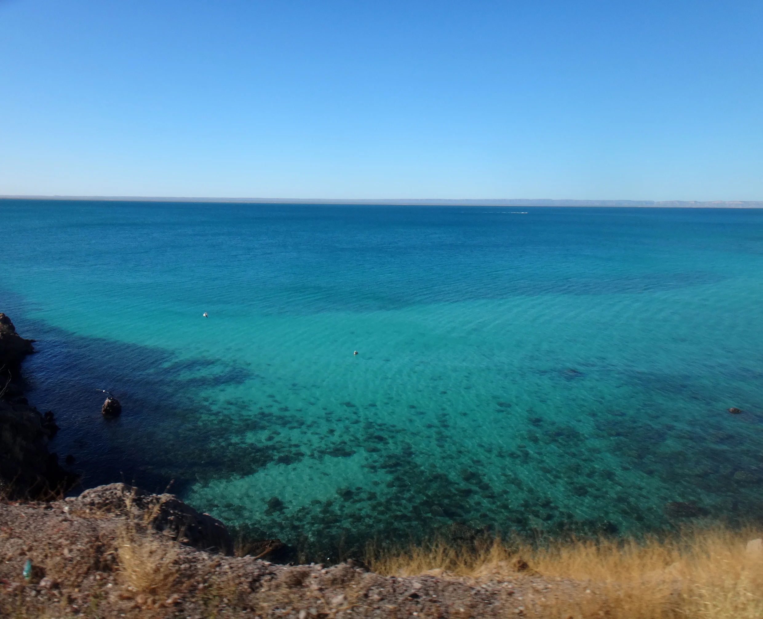 Baja California Sur, Mexico
