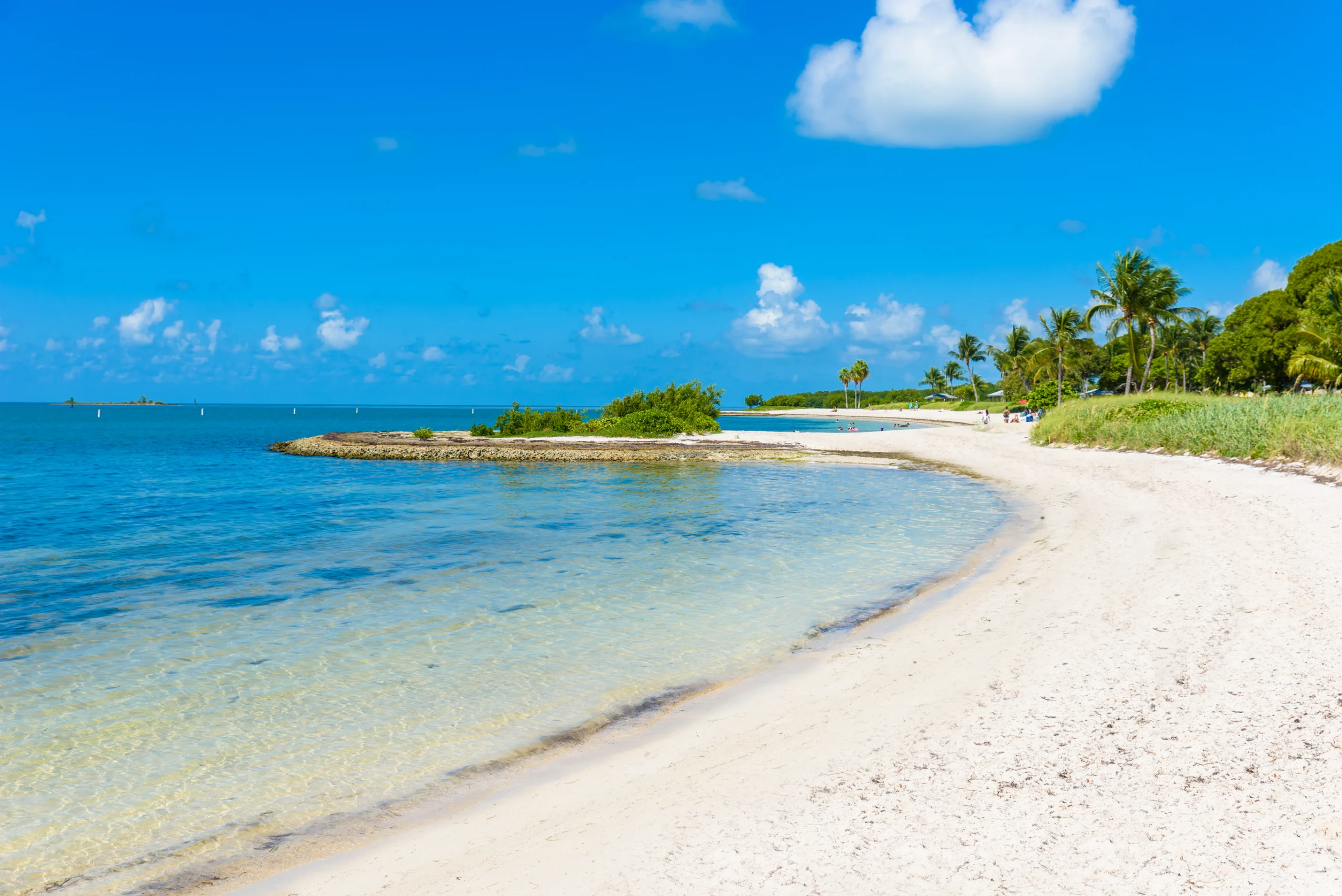 Sombrero Beach with palm trees on the Florida Keys, Marathon, Florida, USA