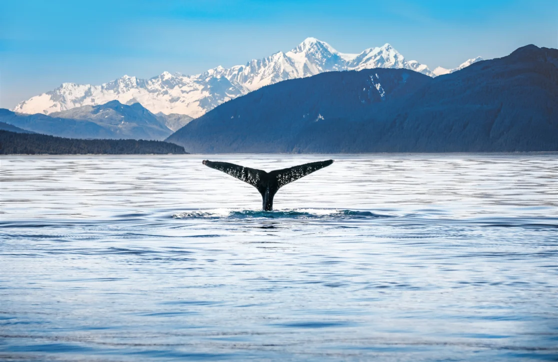 More Superyachts Are Heading To Alaska This Summer — Here’s Why
