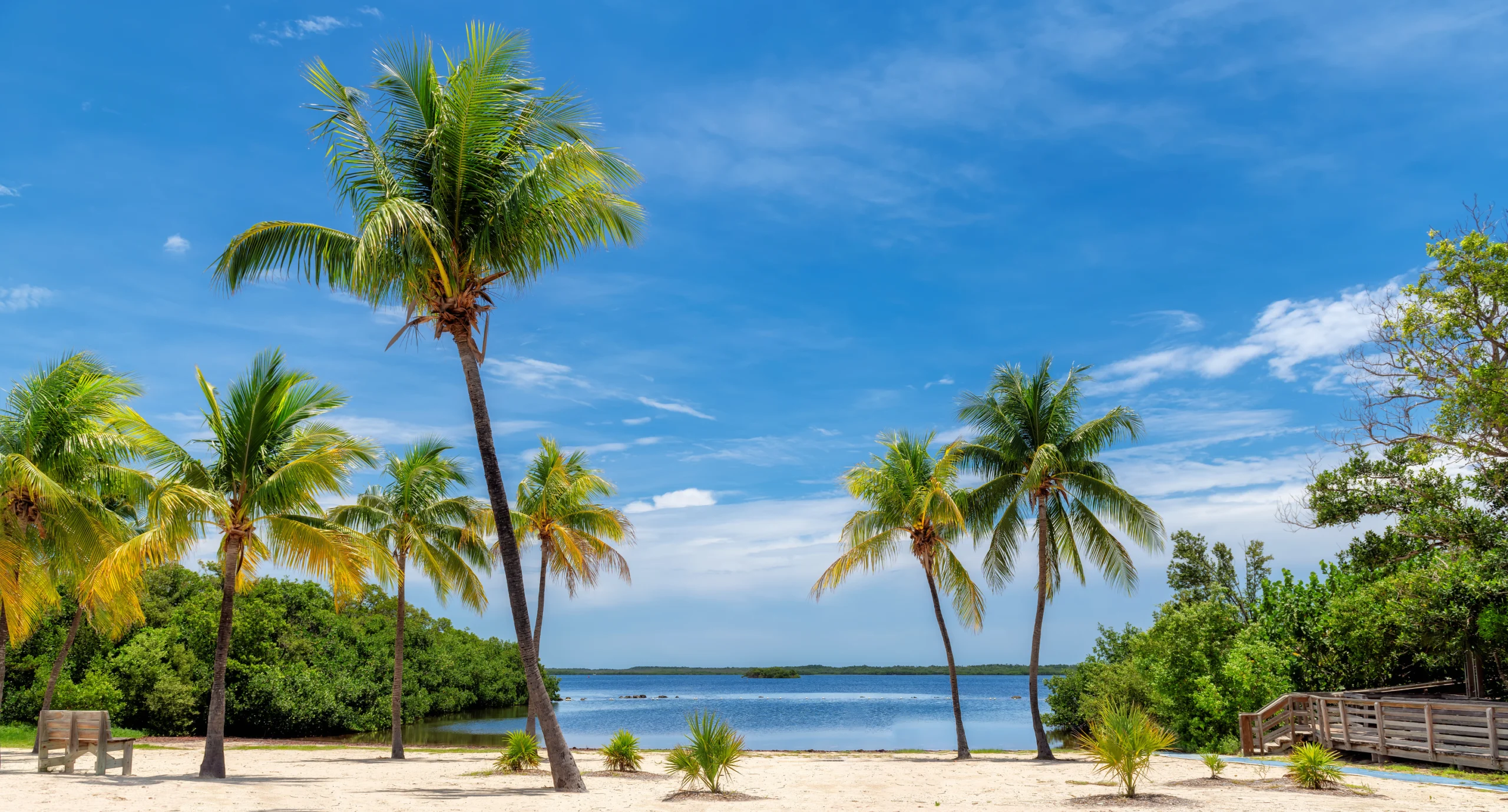 Sunny beach with coco palms and tropical sea in Key Largo beach, Florida