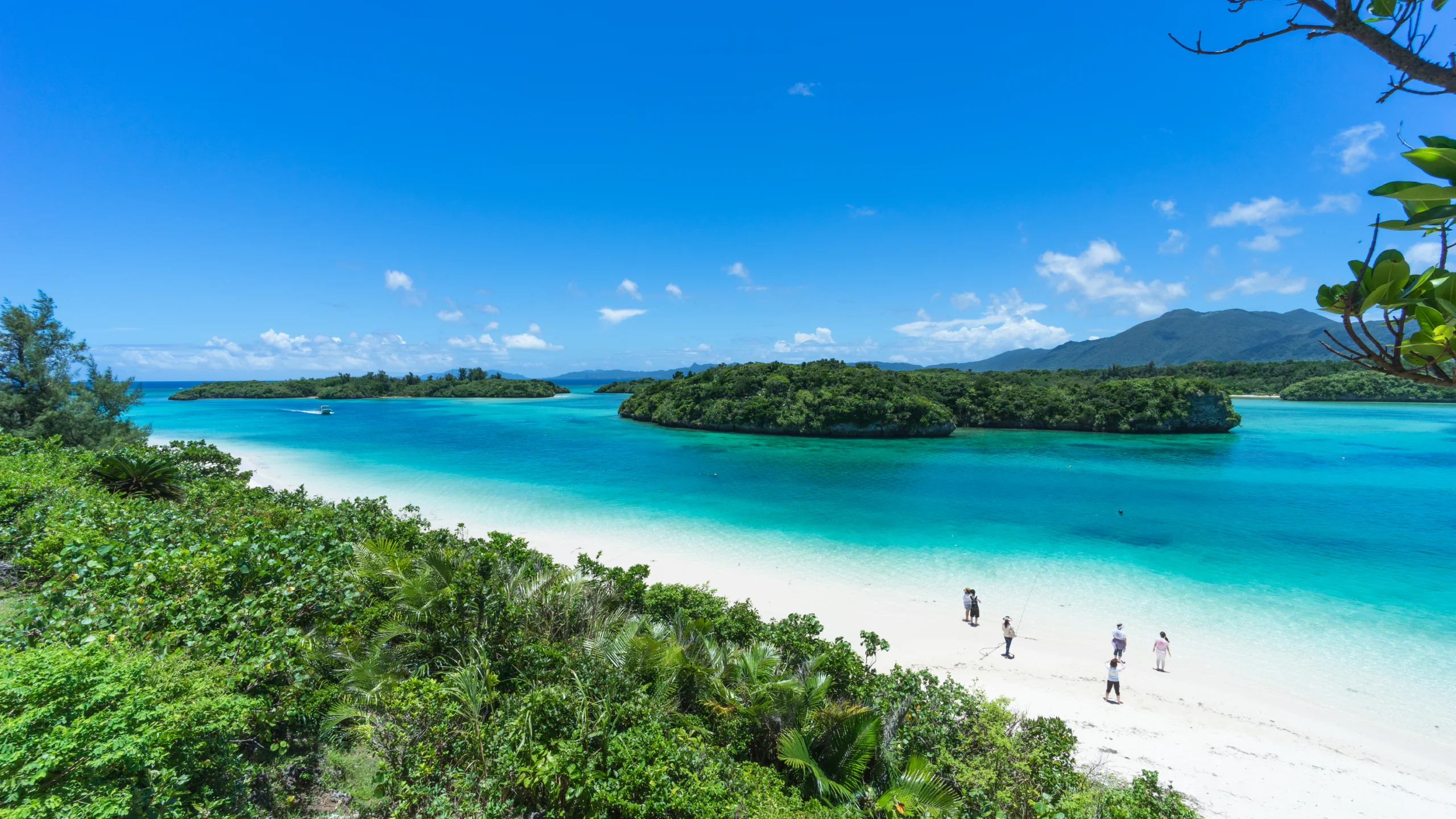 Why Japan Is the Most Underrated Superyacht Destination in the World