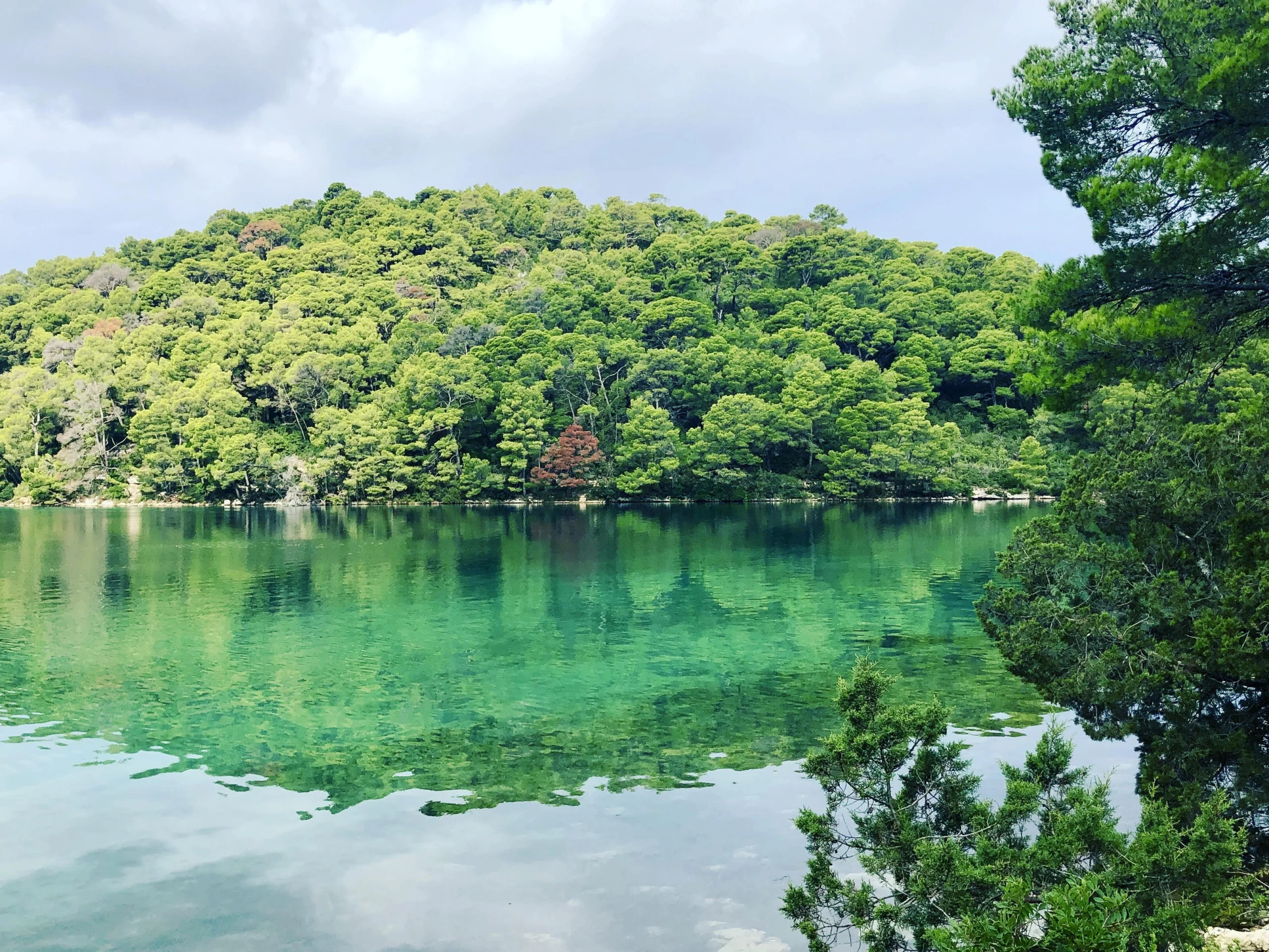 Mljet lake