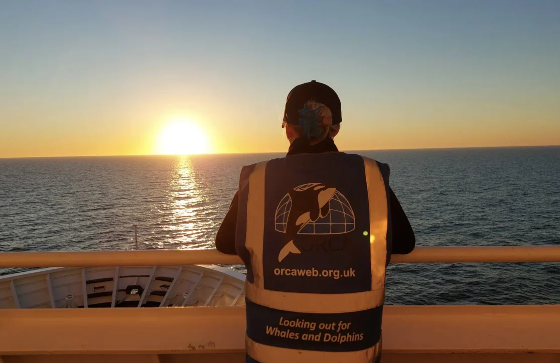 The App That Turns Yacht Trips Into Ocean Research Missions