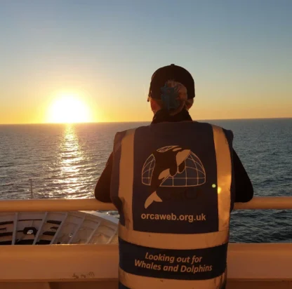 The App That Turns Yacht Trips Into Ocean Research Missions