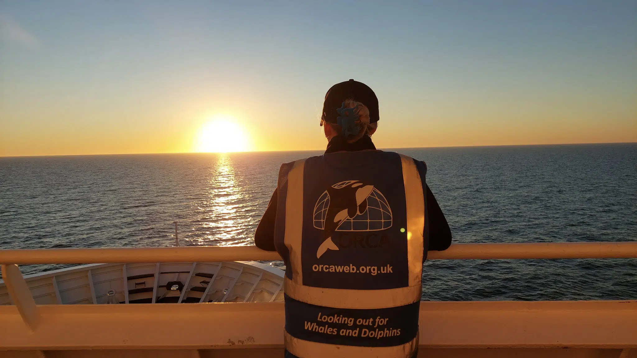 The App That Turns Yacht Trips Into Ocean Research Missions