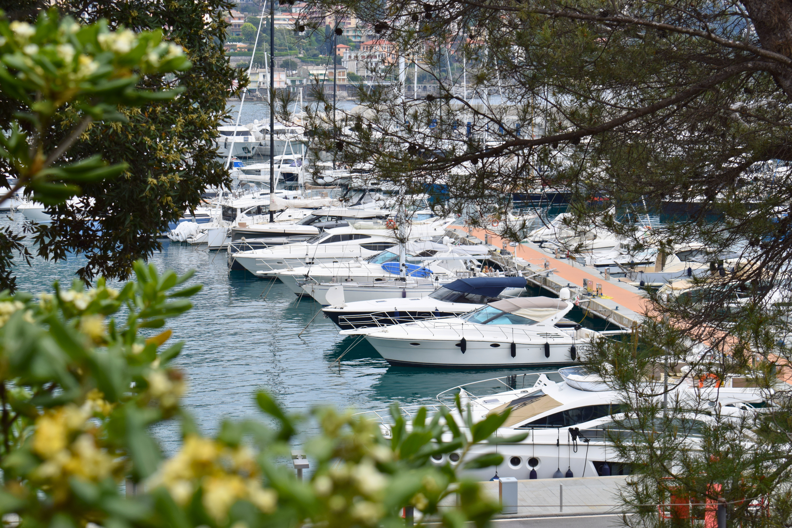 Rapallo