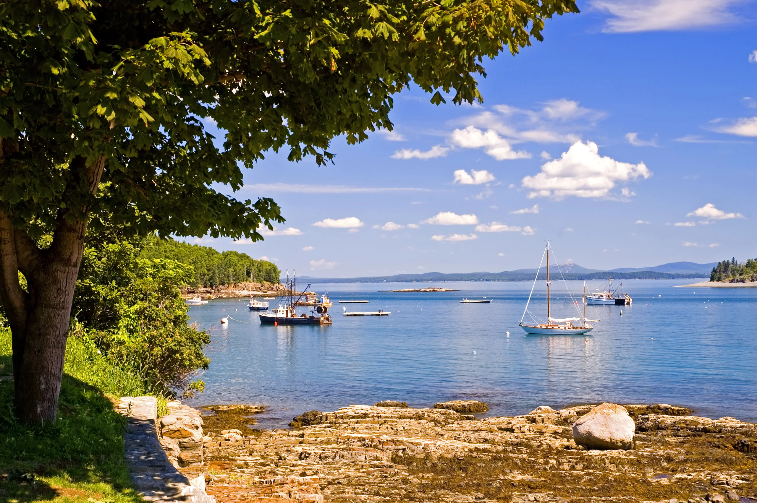 New England bar harbor