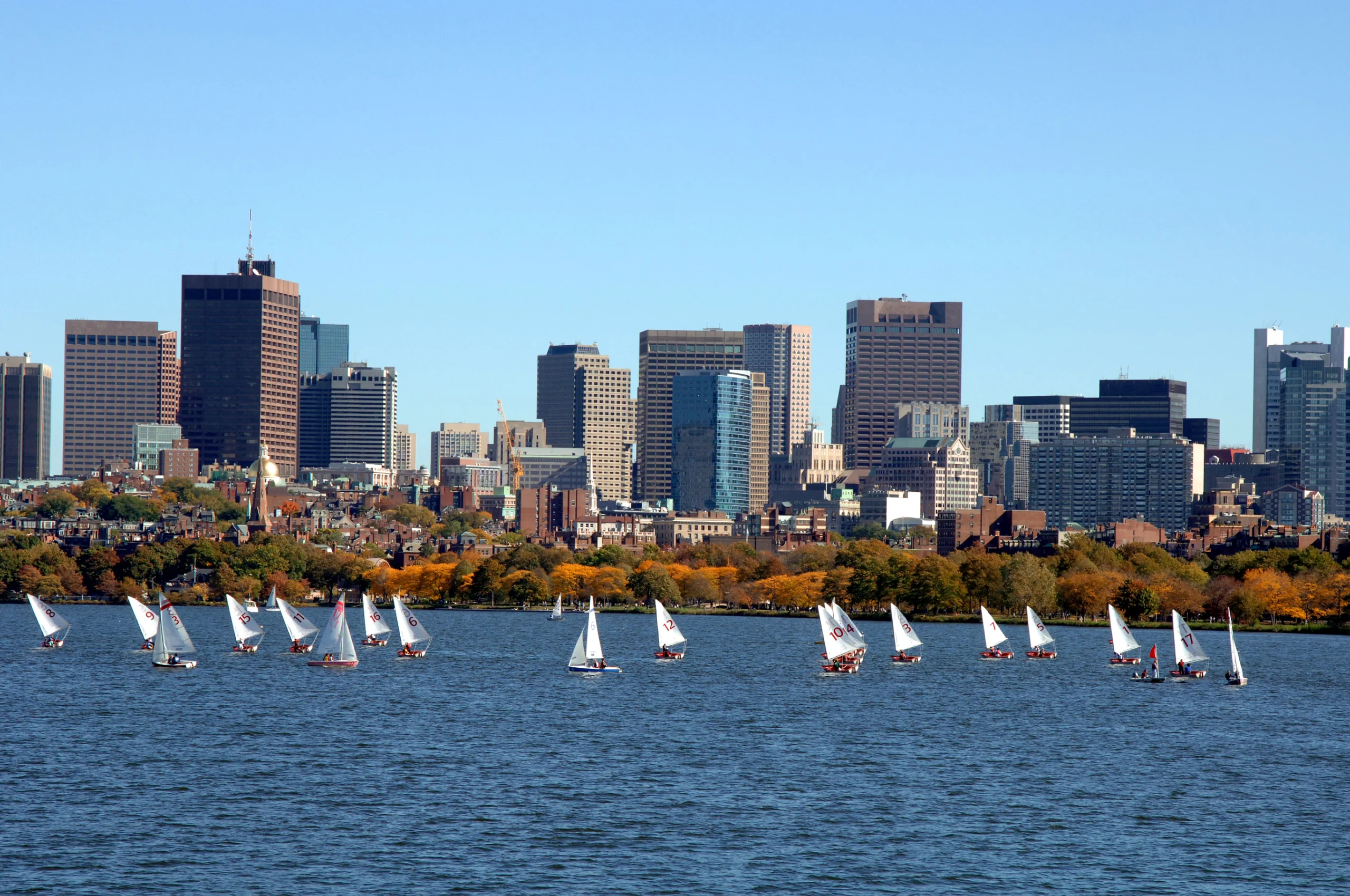 Charles River Boston. A view of Boston and the Charles river full of sailboats on a fall day