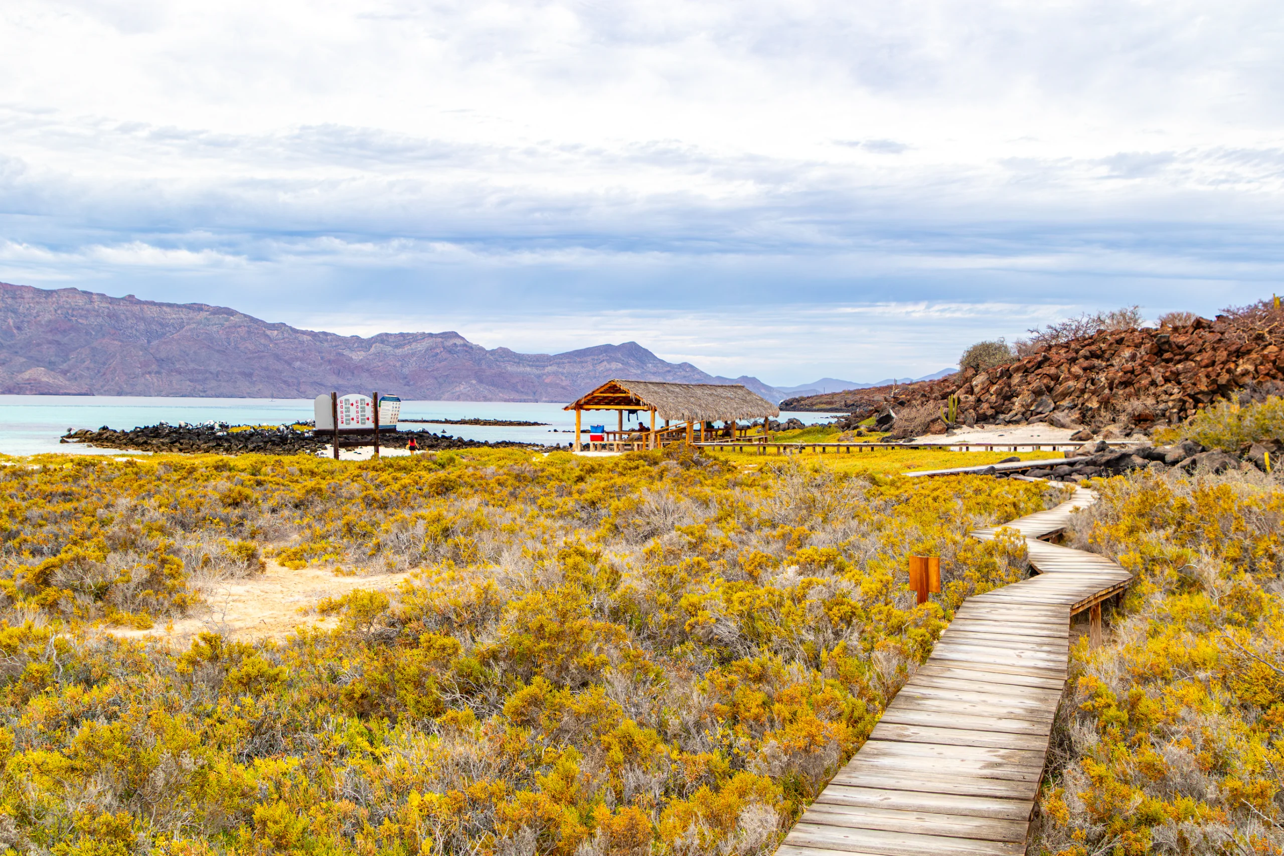 Paradise landscape, wooden path between wild bushes on plain, mountains and foggy blur in background, cloudy day on Coronado Island, Loreto Bay National Marine Park in Baja California Sur, Mexico
