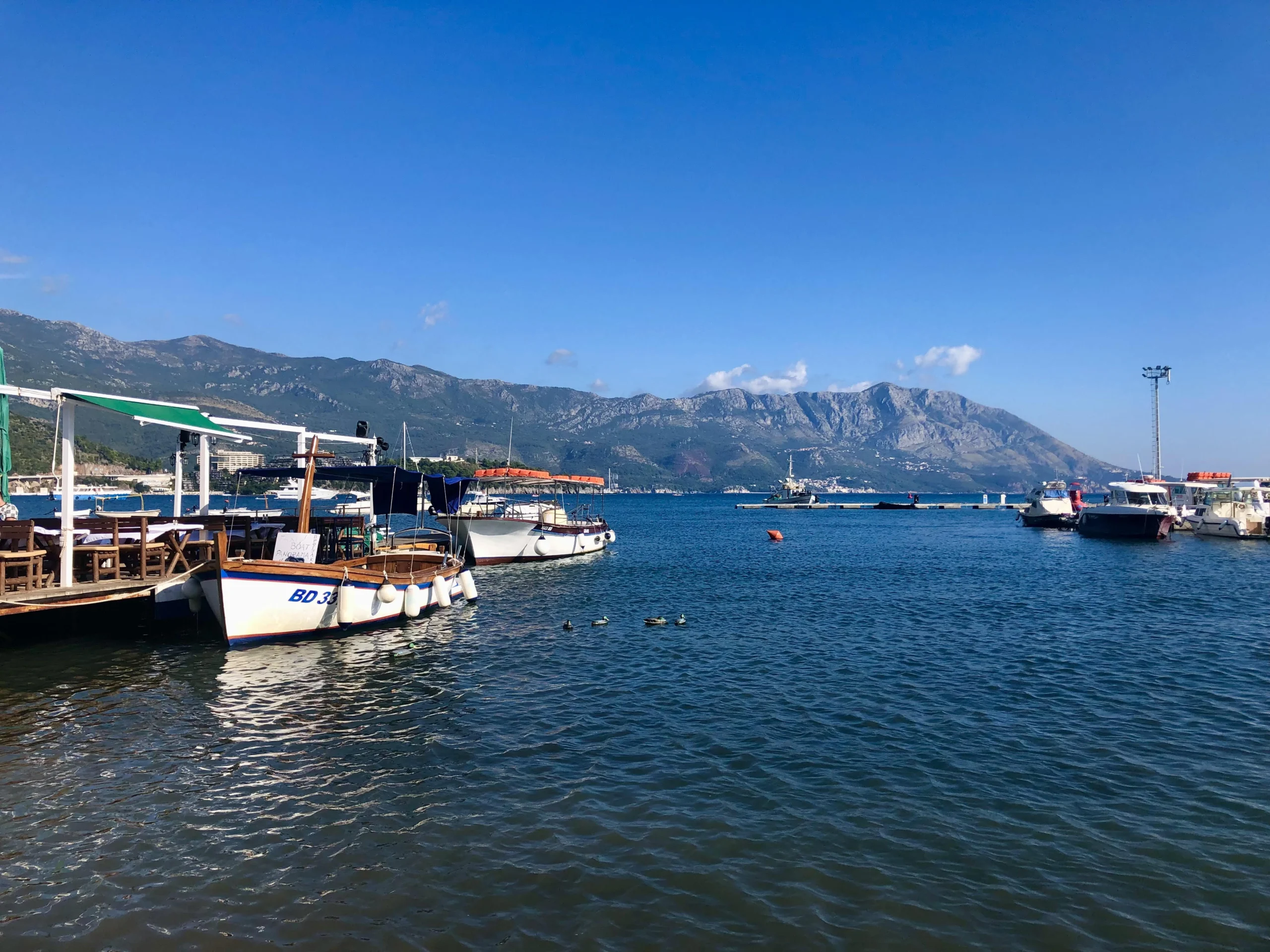 boats in the harbor at Budva Montenegro