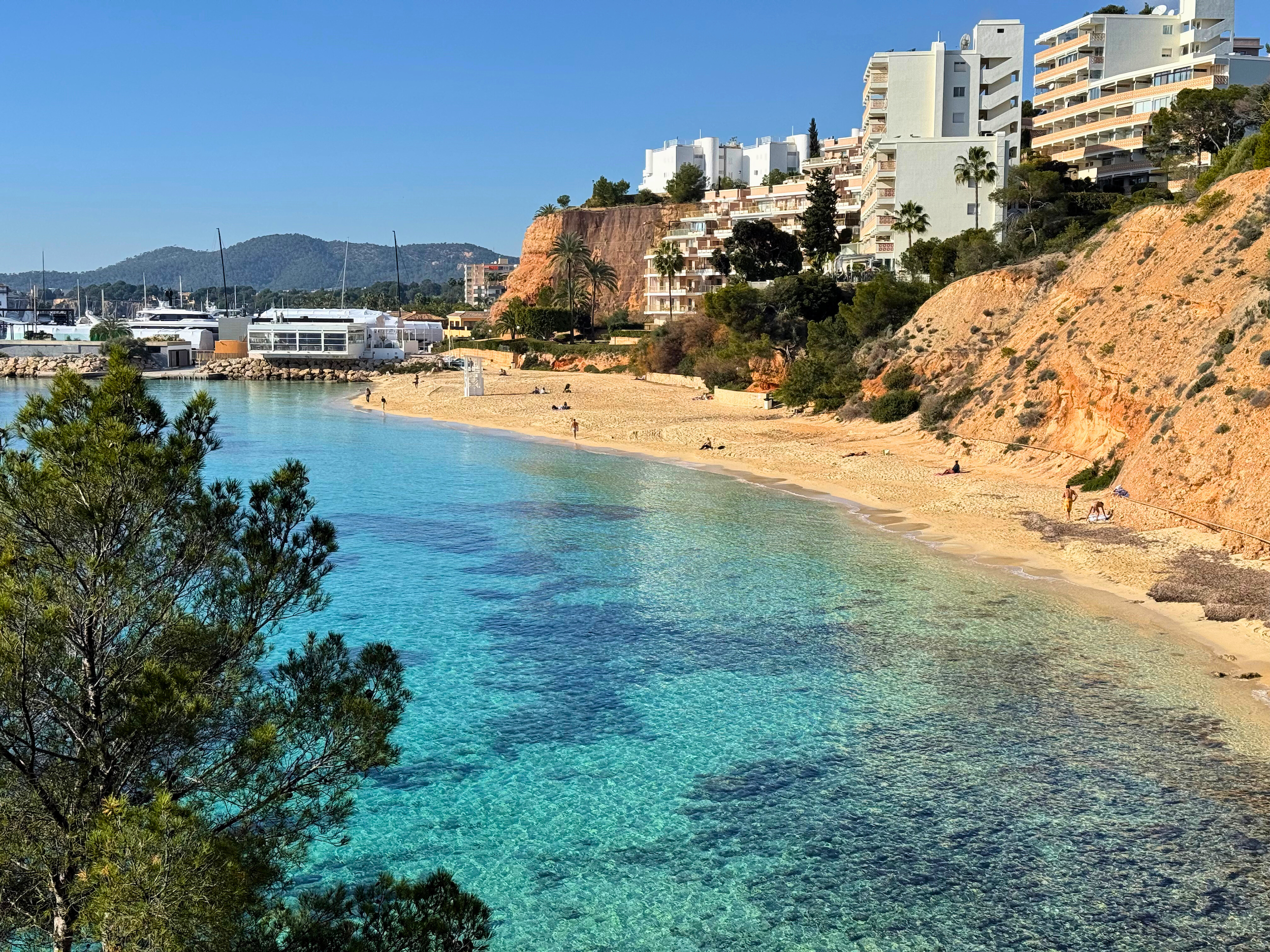 coastal views of Portals Nous, Spain