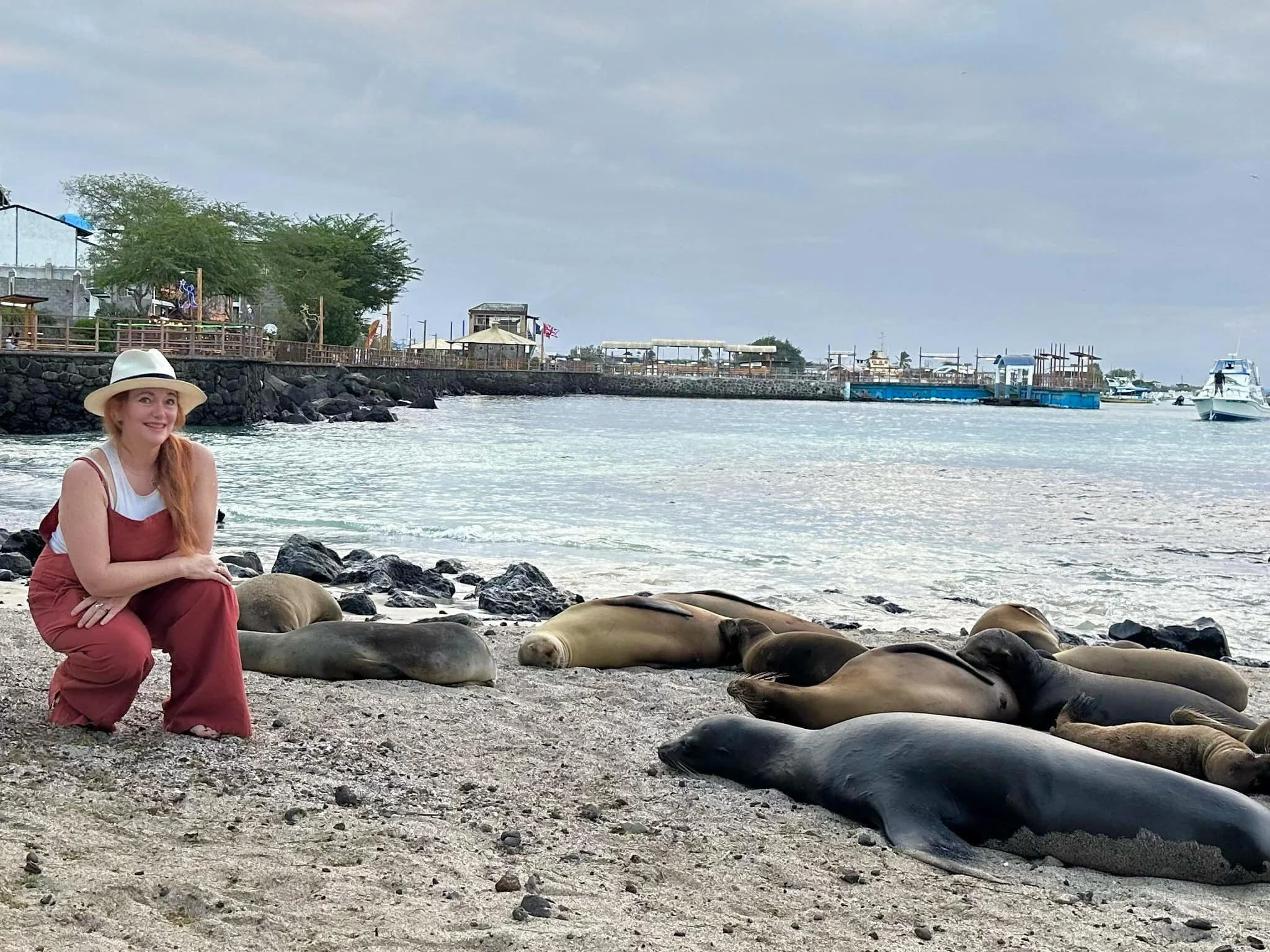 San Cristobal Island sea lions