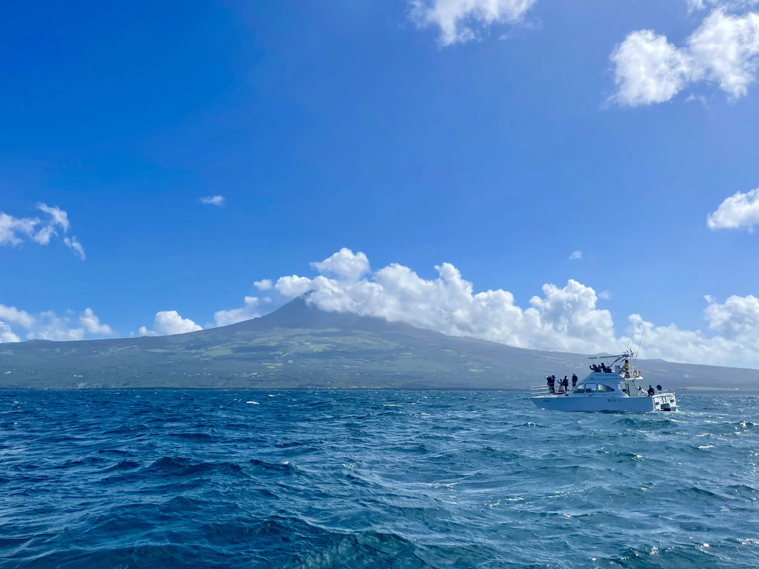 View of Mount Pico on Pico Island from the sea