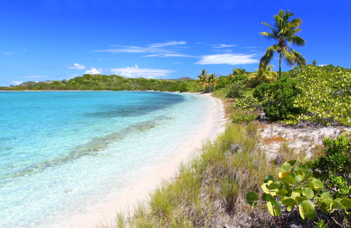 British Virgin Islands Yacht Charter Guide: Everything to Know Before You Sail