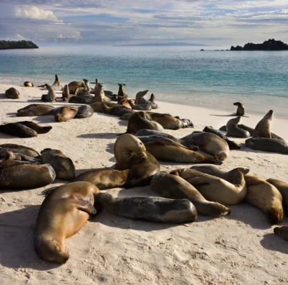 The Galapagos by Yacht: When to Sail and Where to Anchor