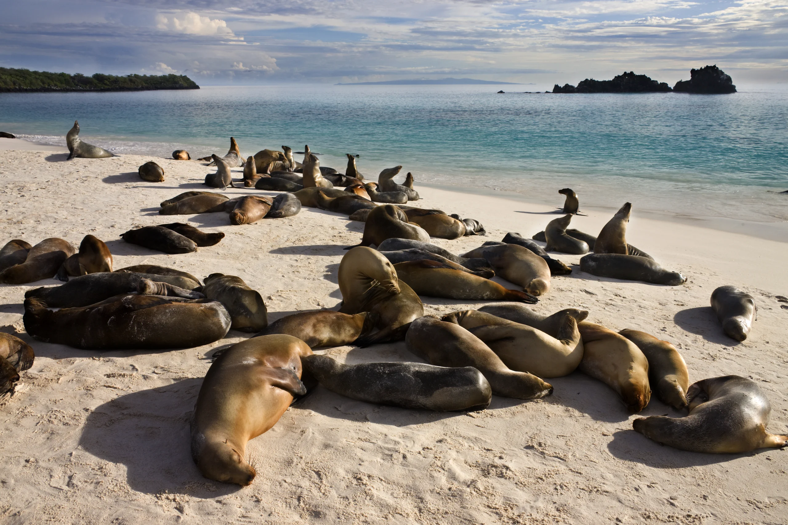 The Galapagos by Yacht: When to Sail and Where to Anchor