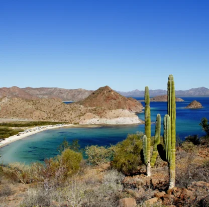 The Best Time for a Sea of Cortez Yacht Charter: Month-by-Month Weather, Wildlife & Events