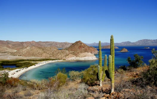 The Best Time for a Sea of Cortez Yacht Charter: Month-by-Month Weather, Wildlife & Events