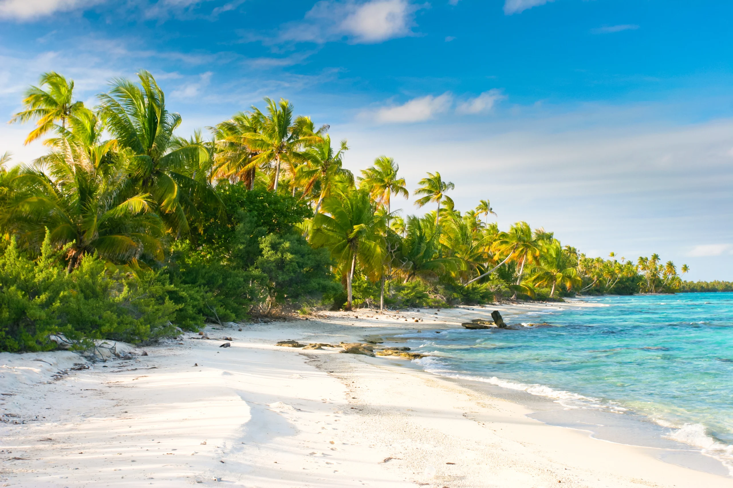 Beautiful Fakarava beach, French Polynesia