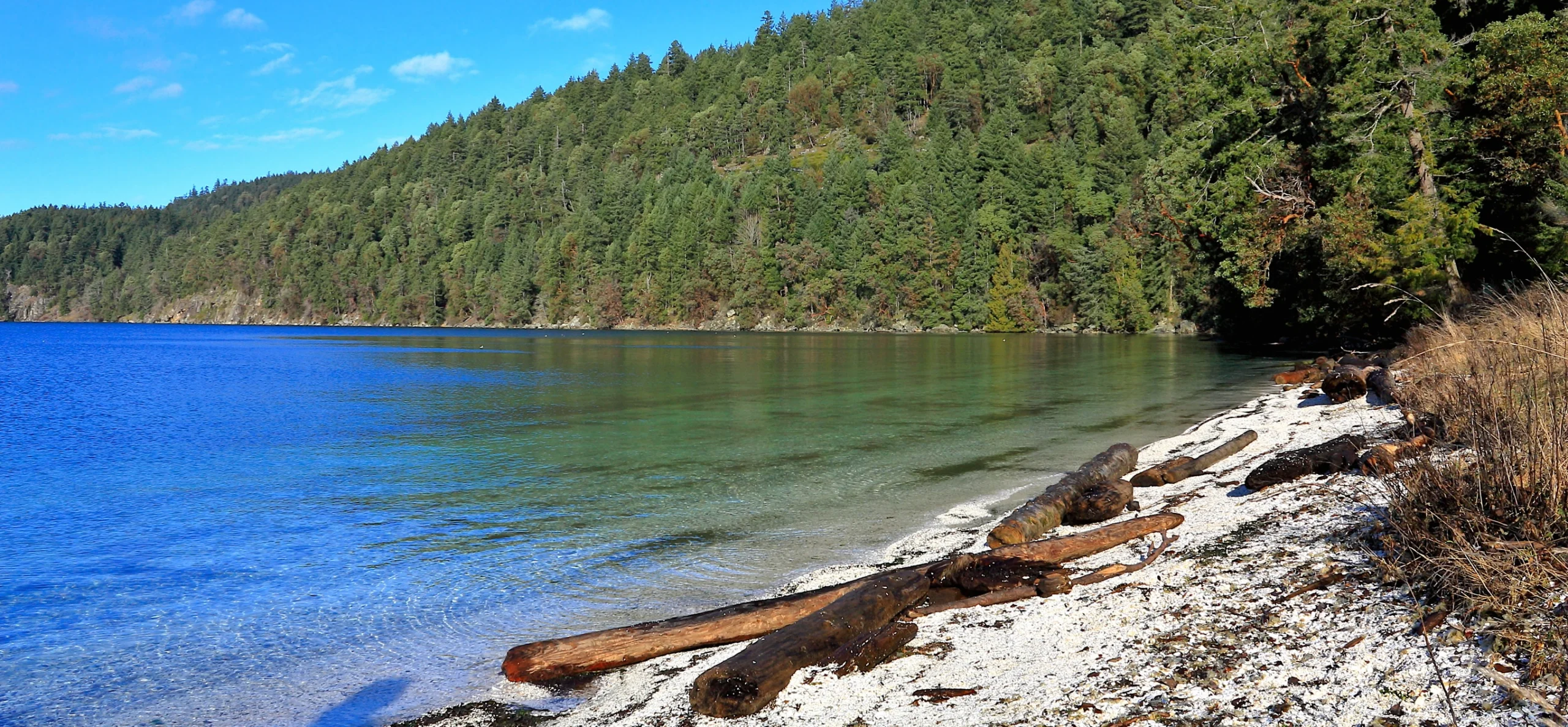 Galiano Island with White Shell Beach and Driftwood at Montague Marine Provincial Park