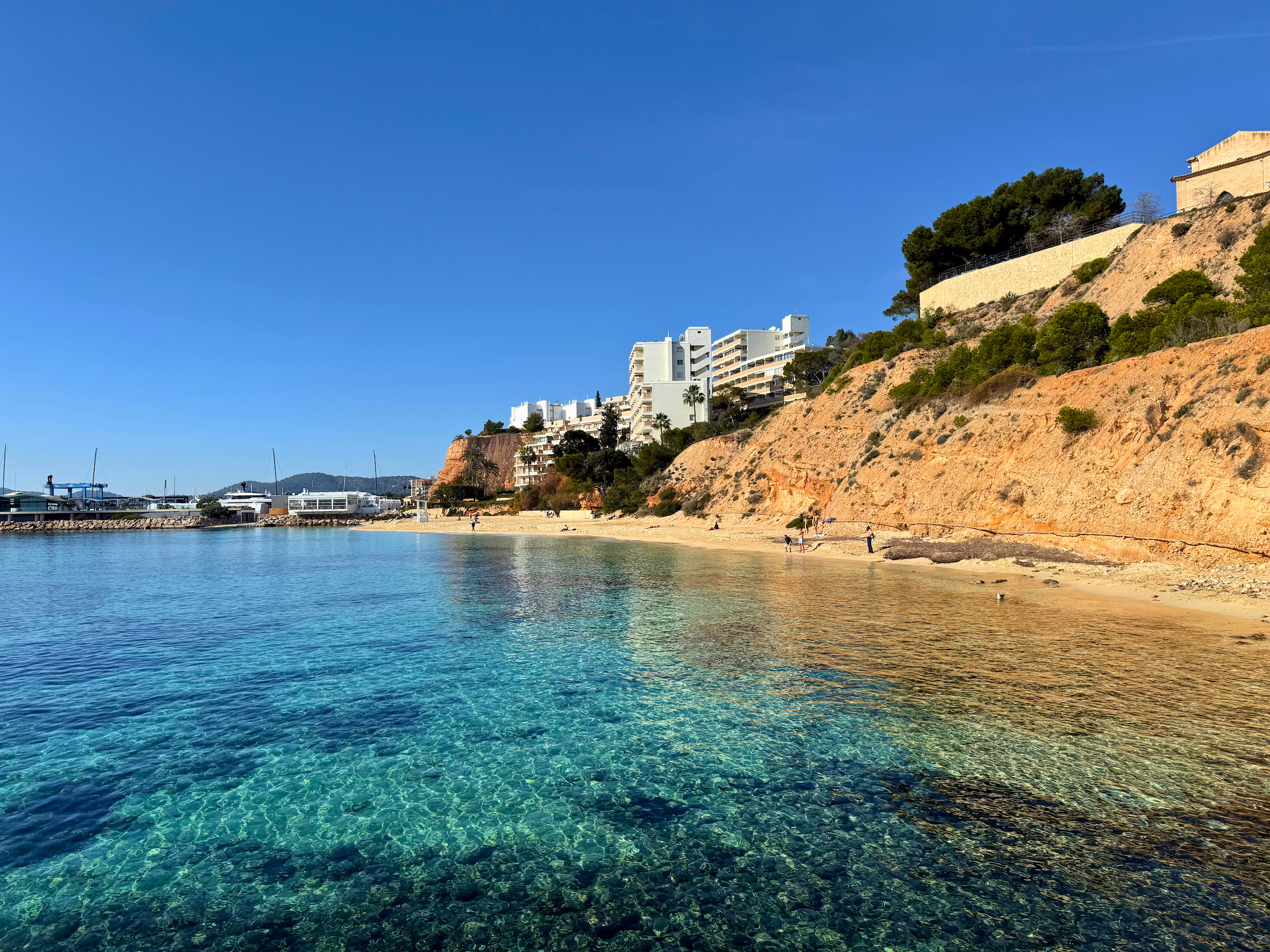 coastal view of Portals Nous in Mallorca