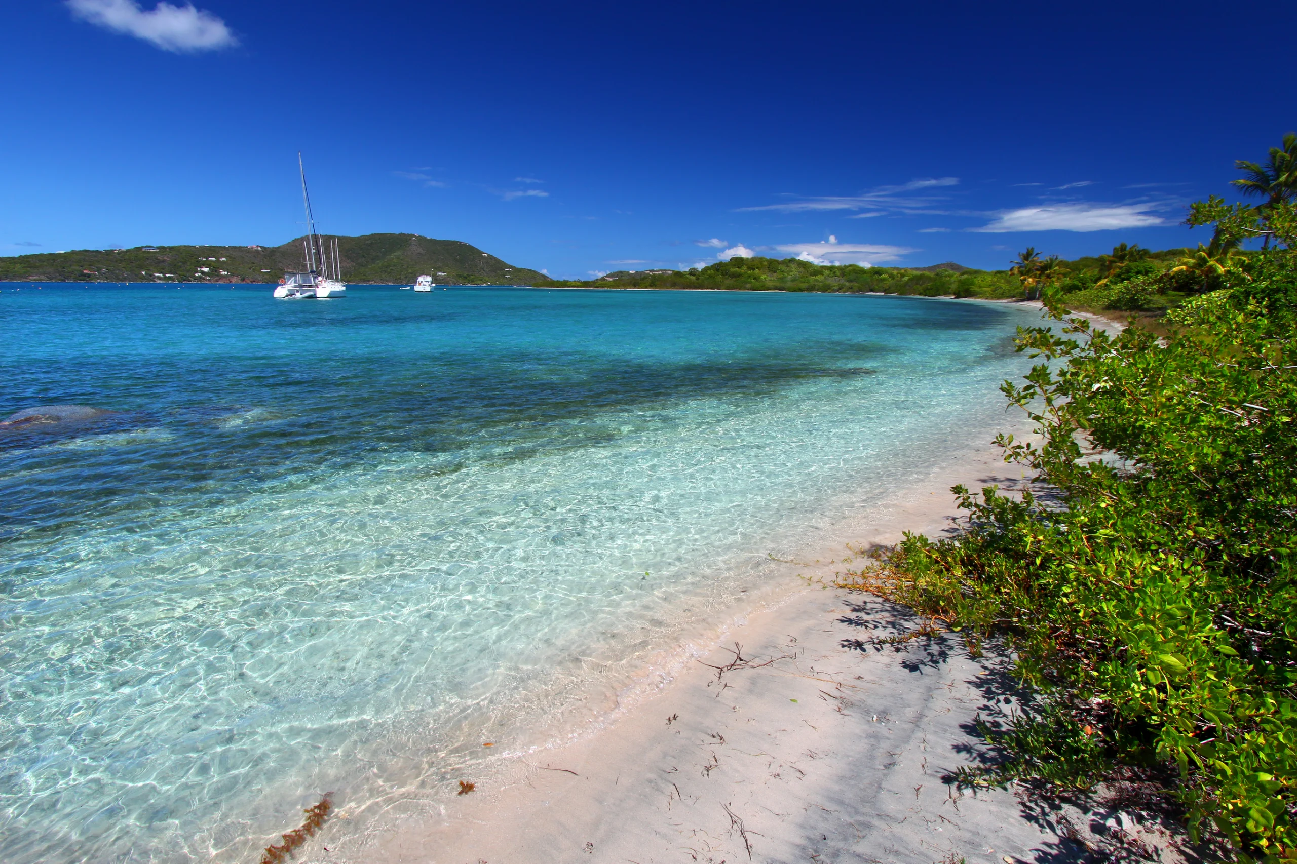 Beach in British Virgin Islands. Tropical vegetation along a picturesque beach in the British Virgin Islands.