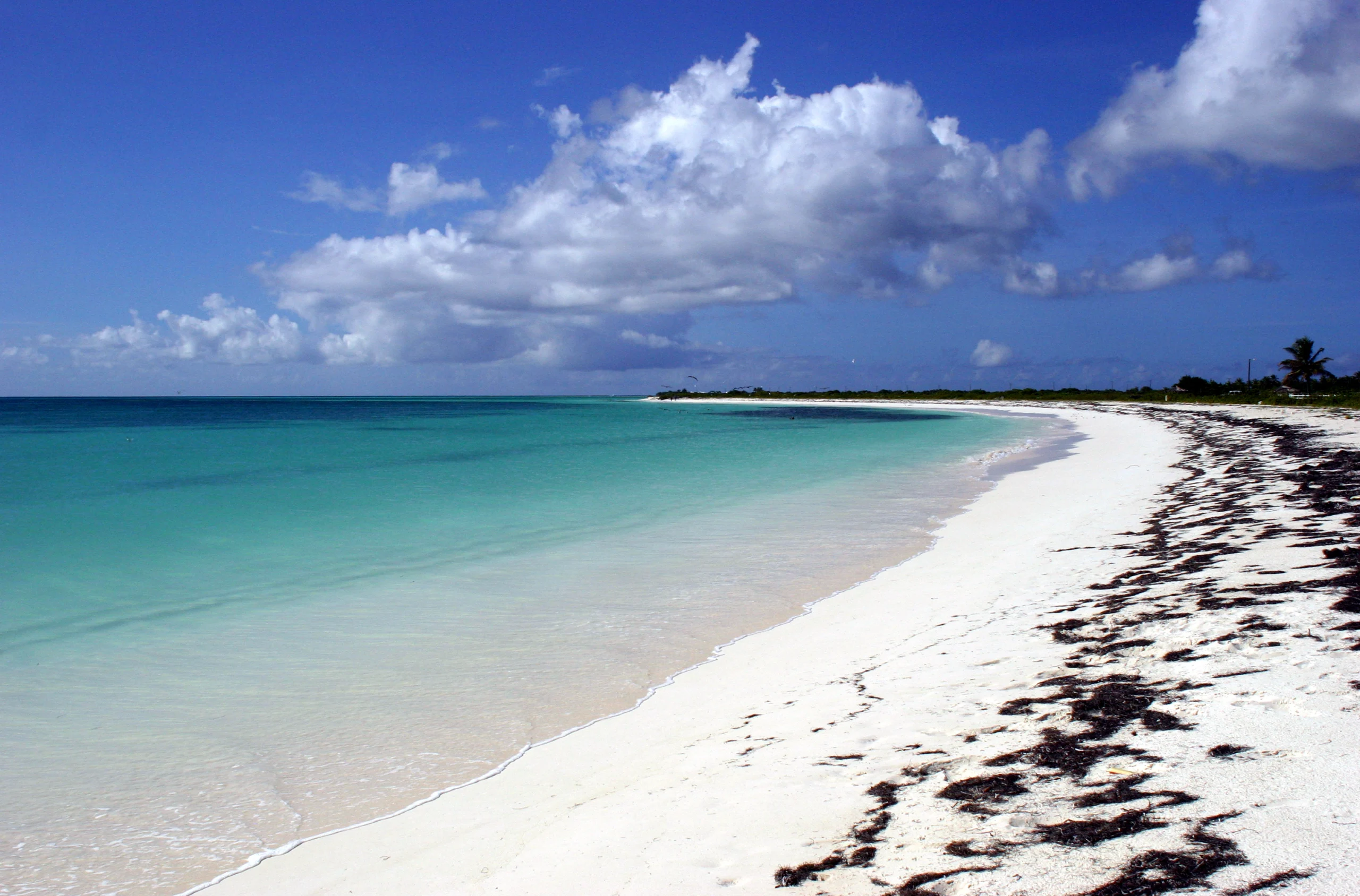 A picturesque view of the curving Anegada Island beach in the British Virgin Islands
